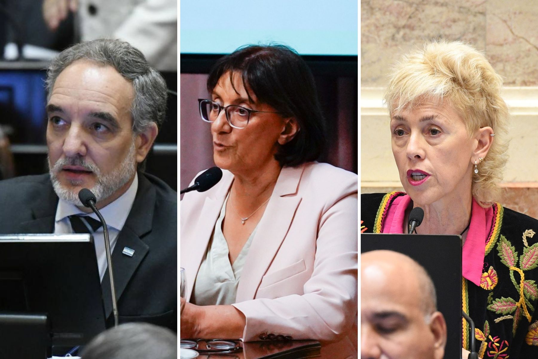 Senadores Río Negro.